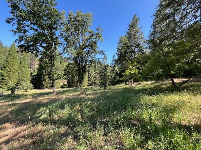 0 Crest View Dr, Home with 0 bedrooms, 0 bathrooms and null parking in Murphys CA | Image 21