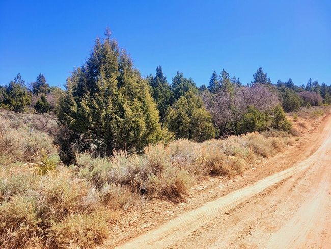 7-Lot & Subdivision Road | Image 7