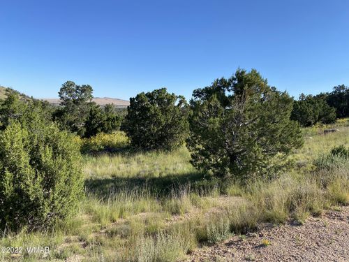 00 N4078, Springerville, AZ, 85938 | Card Image