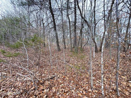 45 Zuni Way, DEL RIO, TN, 37727 | Card Image