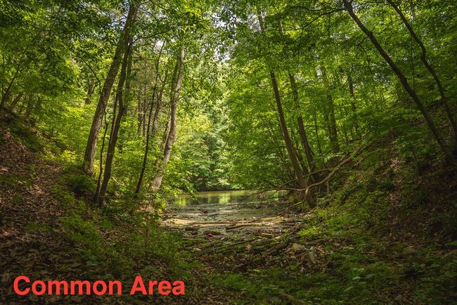 4042 Cabin Land Dr, Home with 3 bedrooms, 3 bathrooms and null parking in Radford VA | Image 44