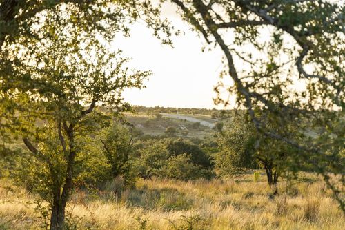 68 W Leaning Madrone Dr, Johnson City, TX, 78636 | Card Image