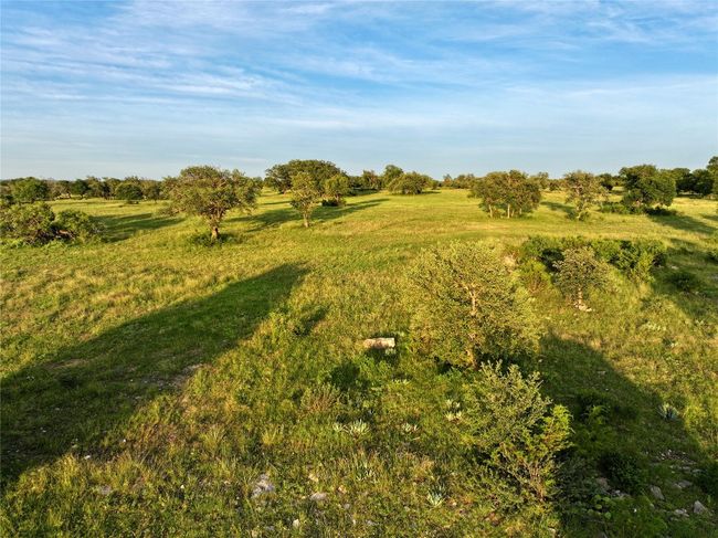 View of local wilderness | Image 14