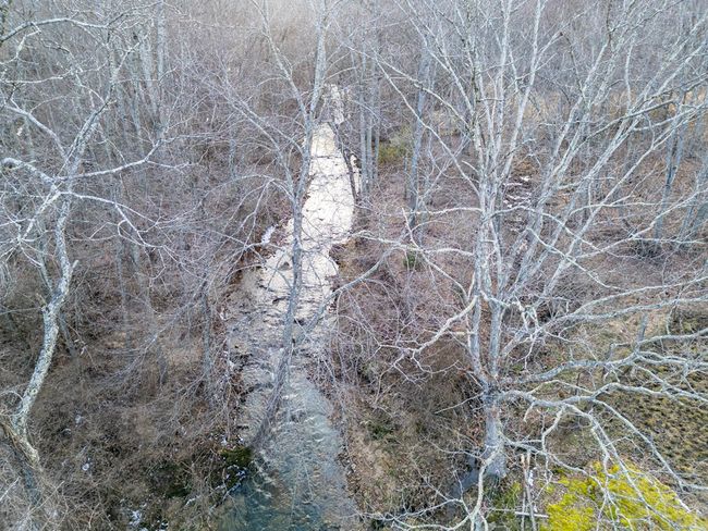 92 Acres Laurel Fork Rd, Home with 0 bedrooms, 0 bathrooms and null parking in Rocky Gap VA | Image 11