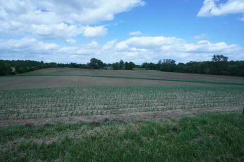 10159 Lake Rd Ne, Millersport, OH, 43046-8033 | Card Image
