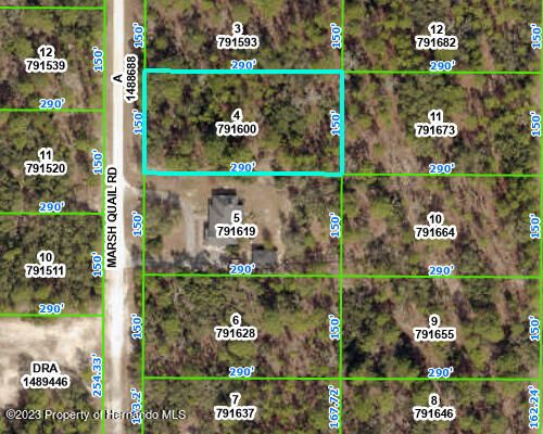 4 Marsh Quail Road, WEEKI WACHEE, FL, 34614 | Card Image