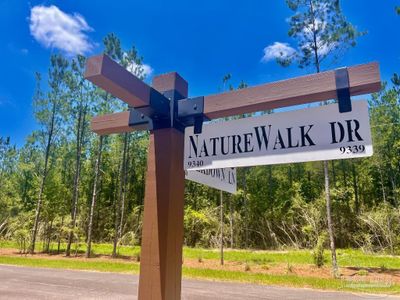 Lot 78 Naturewalk Dr, Home with 0 bedrooms, 0 bathrooms and null parking in Pace FL | Image 3