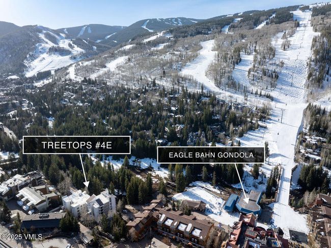 4E - 452 E Lionshead Cir, Condo with 3 bedrooms, 3 bathrooms and 1 parking in Vail CO | Image 12
