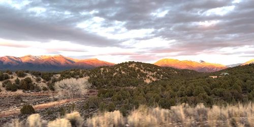 Lot 14 Sandia Canyon Rd, Arroyo Hondo, NM, 87513-8043 | Card Image