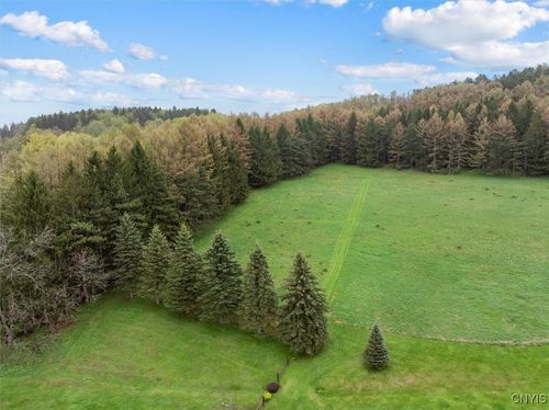 0 Bonney Hill Rd, Hamilton, NY, 13346 | Card Image