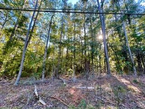 .33 acre E Pine Lake Dr, West Point, GA, 31833 | Card Image