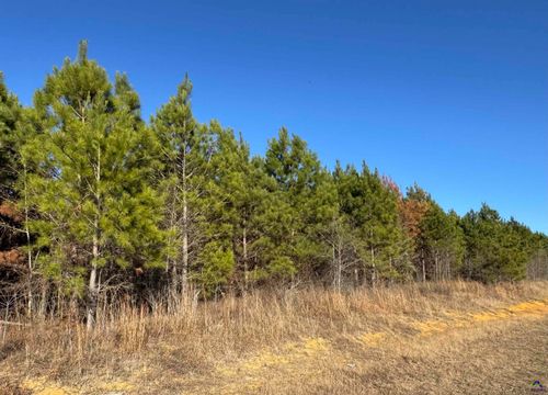 LOT 8A Whitfield Rd, Elko, GA, 31025 | Card Image