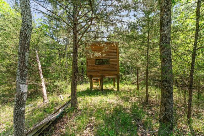 View of deer blind | Image 10