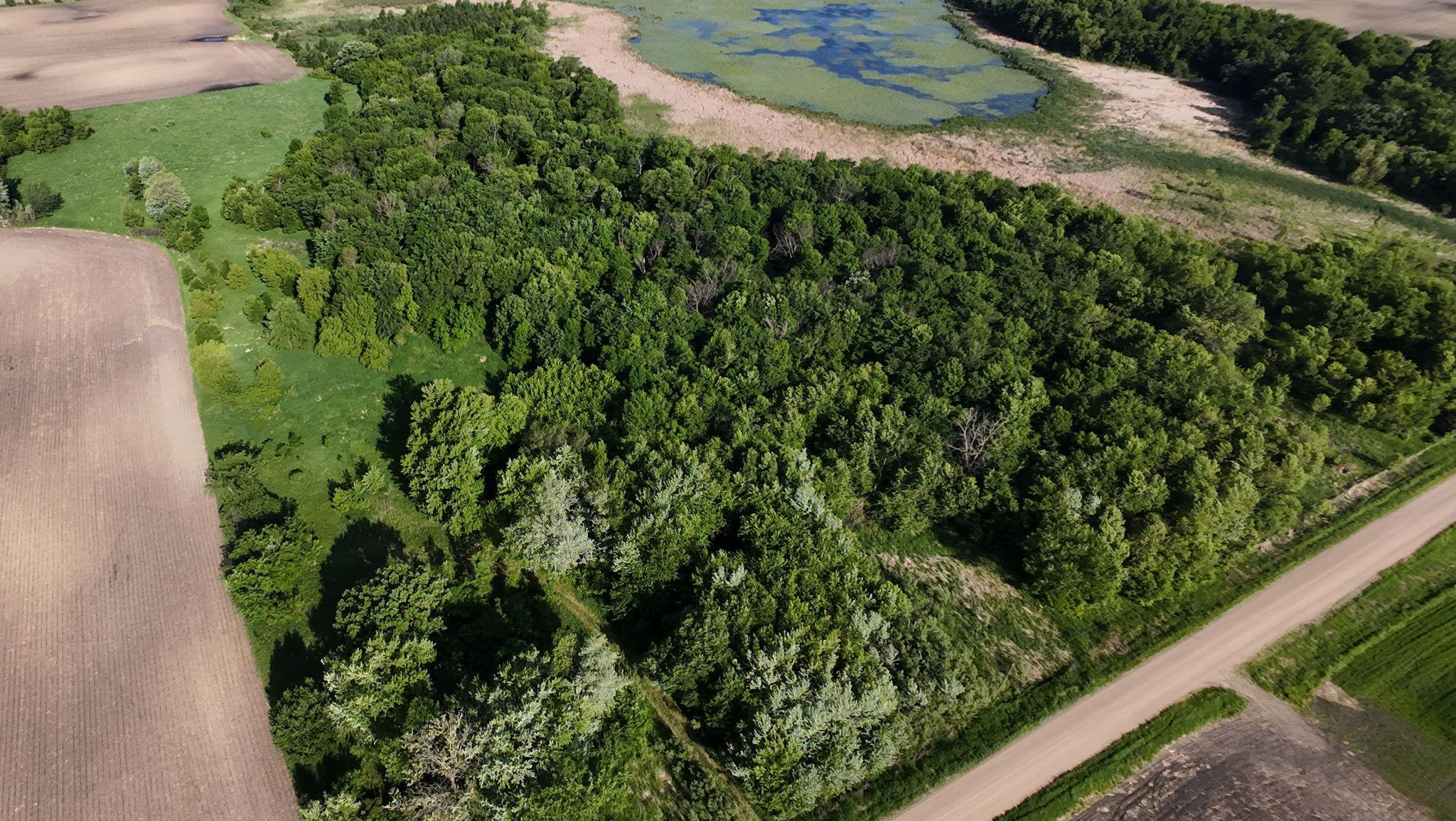 Land in Morristown 3
