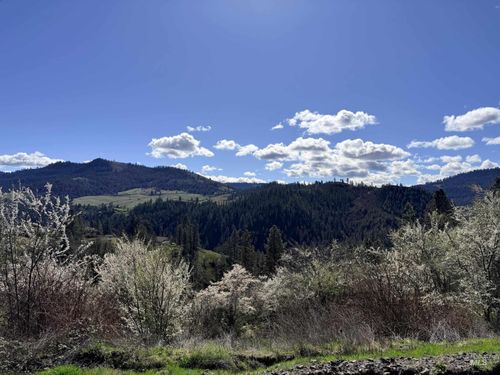 620 Old Peck Grade, Lenore, ID, 83541-5009 | Card Image