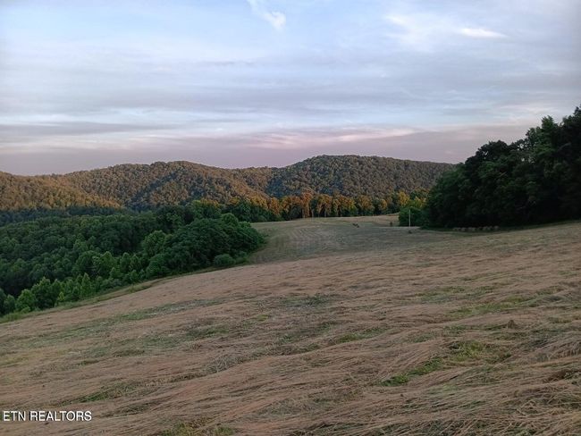 170 Ball Ridge Rd, Home with 0 bedrooms, 0 bathrooms and null parking in Cumberland Gap TN | Image 4