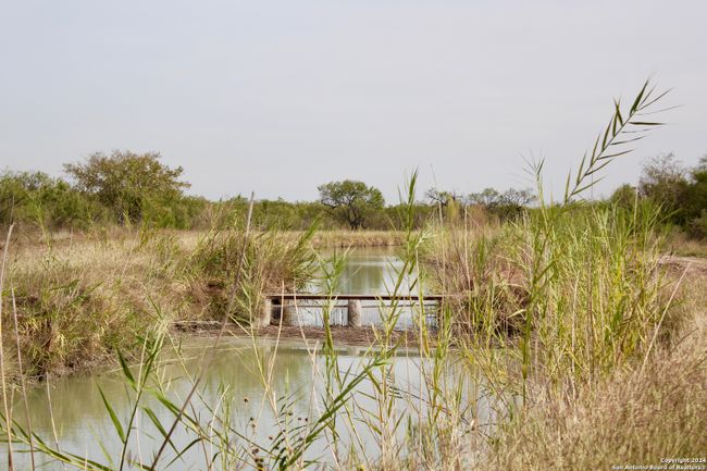 16131 El Indio Hwy, Home with 0 bedrooms, 0 bathrooms and null parking in Eagle Pass TX | Image 4