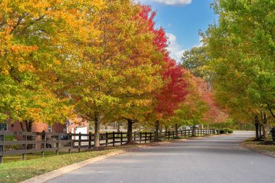 What a welcoming street to come home to. | Image 1