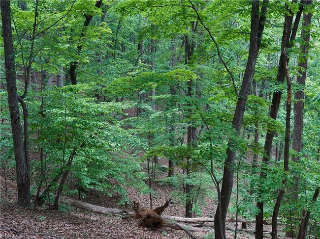 1440 Webb Mountain Rd, Home with 0 bedrooms, 0 bathrooms and null parking in Boones Mill VA | Image 11