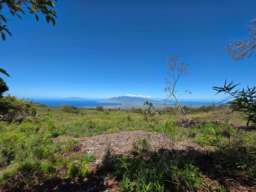 487 Cross Rd, Kula, HI, 96790 | Card Image