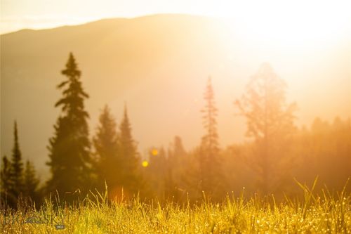 7 Trout Pond Lane, Big Sky, MT, 59716 | Card Image