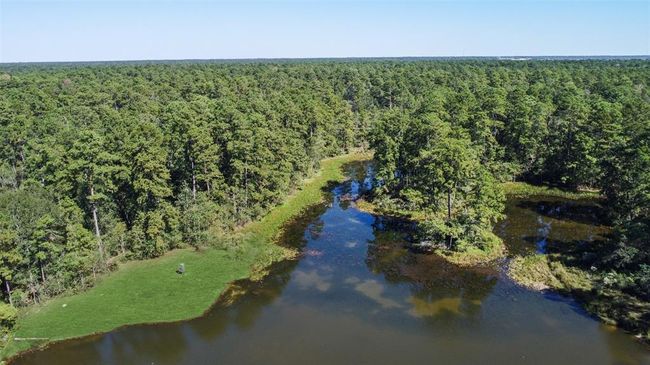 The lake is stocked with gamefish, including bass over 10 lbs and other types of fish | Image 5
