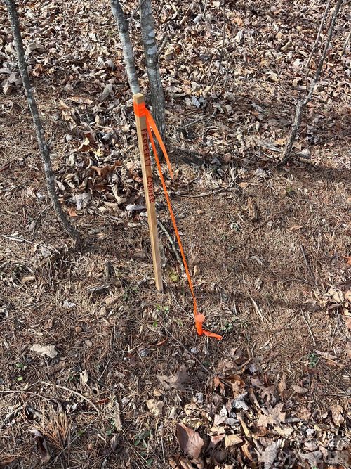 165 Katies Way, Nebo, NC, 28761 | Card Image