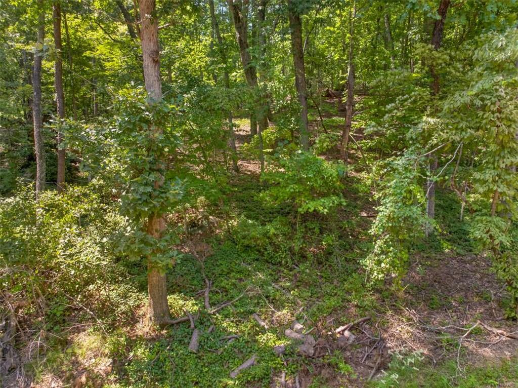 Land in Clarkesville 4