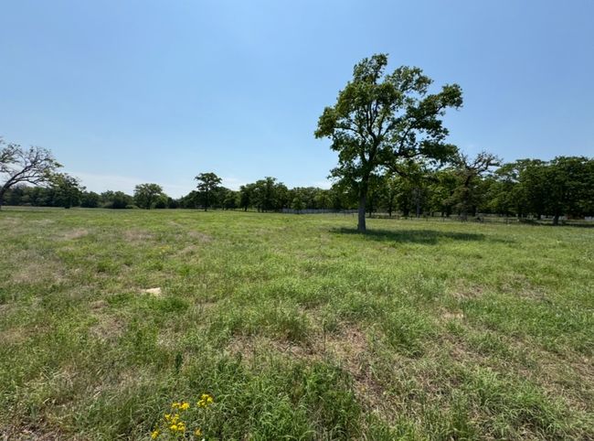 View of local wilderness featuring a rural view | Image 12
