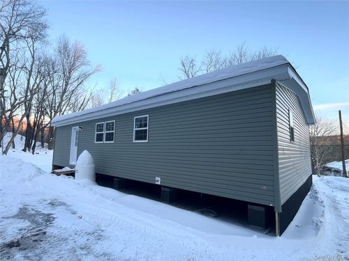 317 Debruce Rd, Livingston Manor, NY, 12758-2006 | Card Image