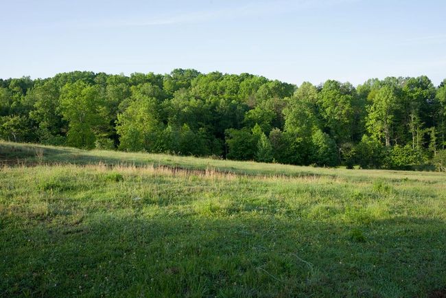 40.46AC Barker Cove Loop, Home with 1 bedrooms, 1 bathrooms and null parking in Palmer TN | Image 33