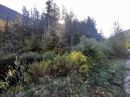 RLL1 Strawberry Lane, Hope, BC, V0X1L5 | Card Image