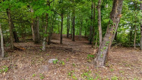 260 Sam Johnson Rd Nw, Georgetown, TN, 37336-5030 | Card Image