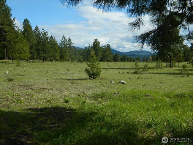 302 Summer Rd, House other with 1 bedrooms, 1 bathrooms and null parking in Tonasket WA | Image 17