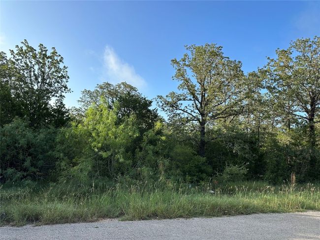 22 Torchlight Dr, Home with 0 bedrooms, 0 bathrooms and null parking in Bastrop TX | Image 4