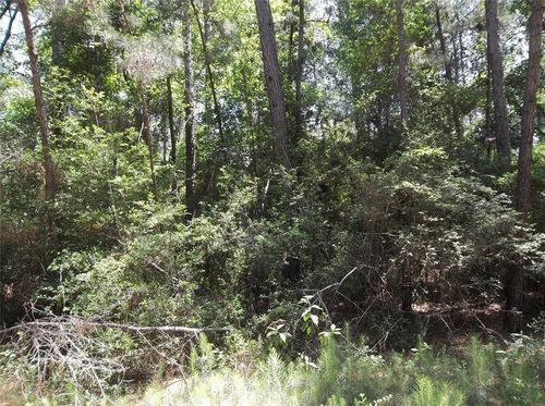 0 Warbler Ln, Hempstead, TX, 77445 | Card Image