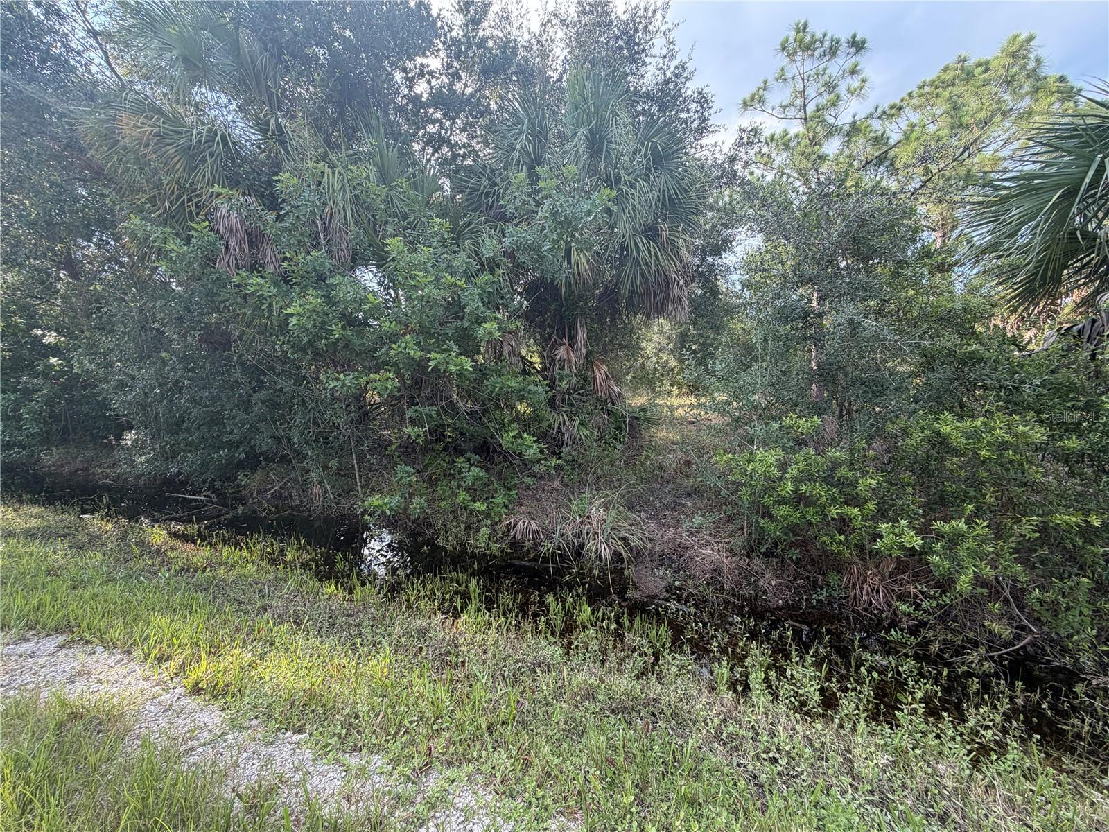 Land in PUNTA GORDA 3