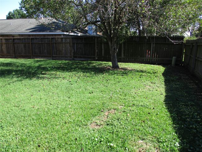 Huge back yard with large fruit bearing apple tree. Can you say..."applesauce?" | Image 21