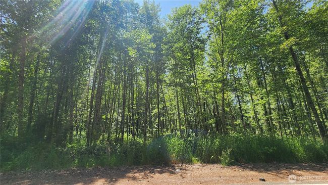 1230 Silverbrook Rd, Home with 0 bedrooms, 0 bathrooms and null parking in Randle WA | Image 20