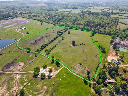 TBD Wild Daisy Road 50 Acres, Ore City, TX, 75683 | Card Image