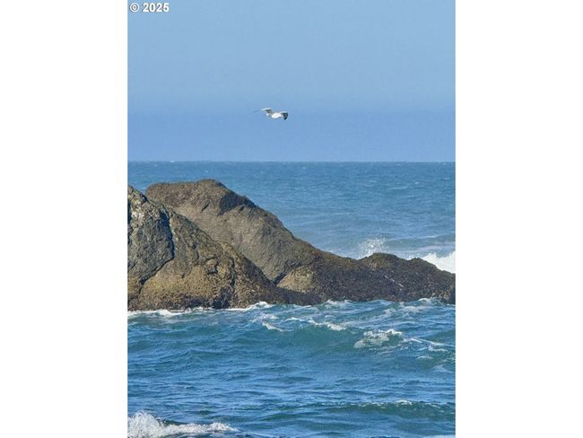 4 - 000 Old Coast Hwy, Home with 0 bedrooms, 0 bathrooms and null parking in Gold Beach OR | Image 14