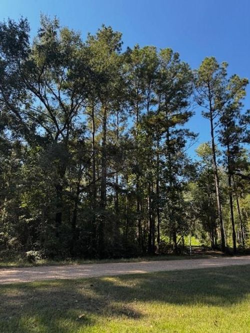 000 County Road 2175, Shepherd, TX, 77371 | Card Image