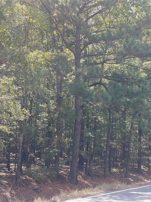 0 Ferry Lake Tract C, Oil City, LA, 71061 | Card Image