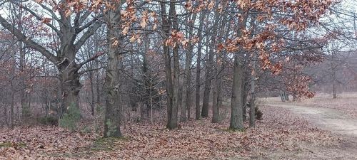 87573 County Road 668, Decatur Township, MI, 49045 | Card Image