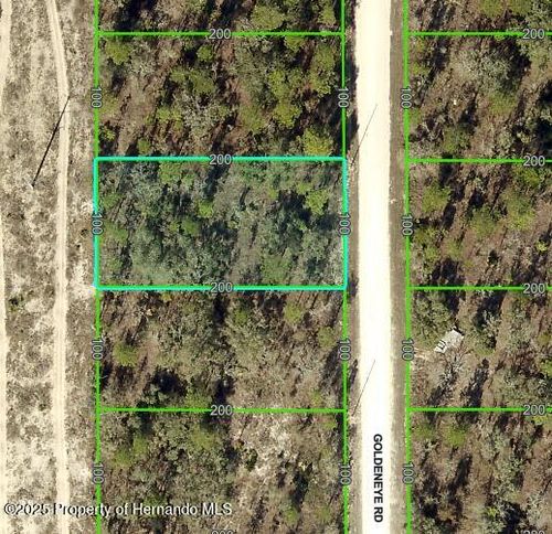 15157 Goldeneye Rd, BROOKSVILLE, FL, 34614 | Card Image