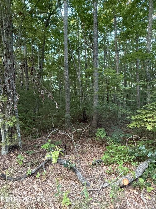 5 Clyde Pl, Monterey, TN, 38574-7061 | Card Image