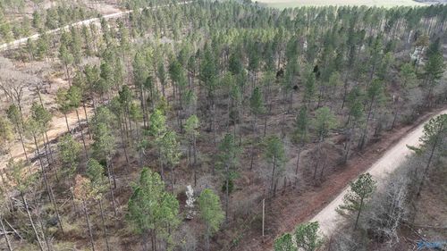 011 County Road 176, Piedmont, AL, 36272 | Card Image