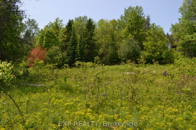 00 Calabogie Rd, House other with 3 bedrooms, 3 bathrooms and 4 parking in Burnstown ON | Image 19