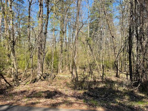 Lot 49 Costa Del Lago Ln, Hot Springs Village, AR, 71909-3514 | Card Image