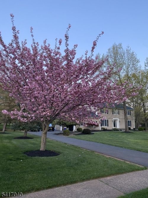 100 Knickerbocker Dr, BELLE MEAD, NJ, 08502-4505 | Card Image